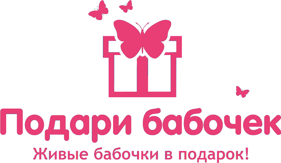 Шляпная коробка с живыми бабочками купить в Краснодаре недорого - доставка 24 часа