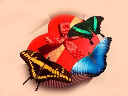 Бабочка-сюрприз, вылетает из книги - баштрен.рф Идеи для подарков