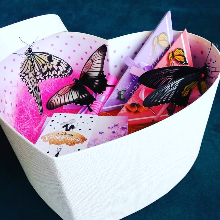 Живой сюрприз. Коробка с бабочками. Живые бабочки в коробке. Бабочки в подарок. Коробка с живыми бабочками.